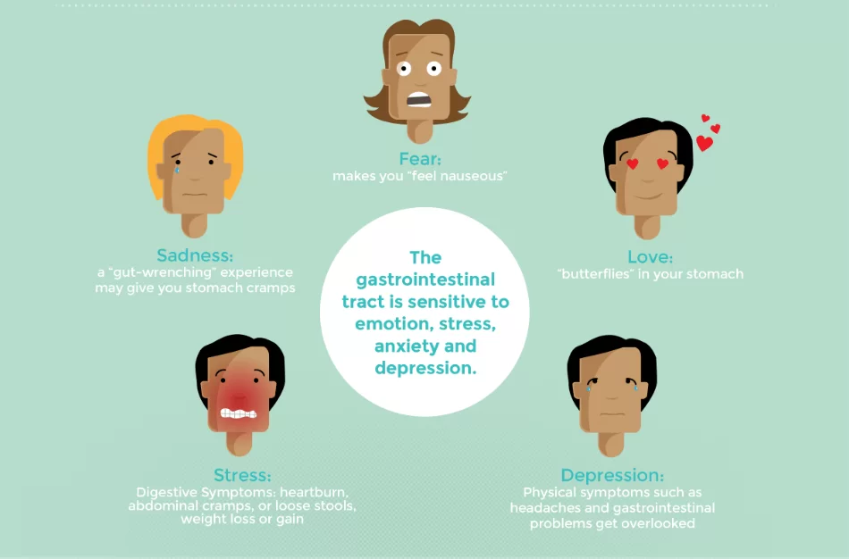 healthy gut healthy mind