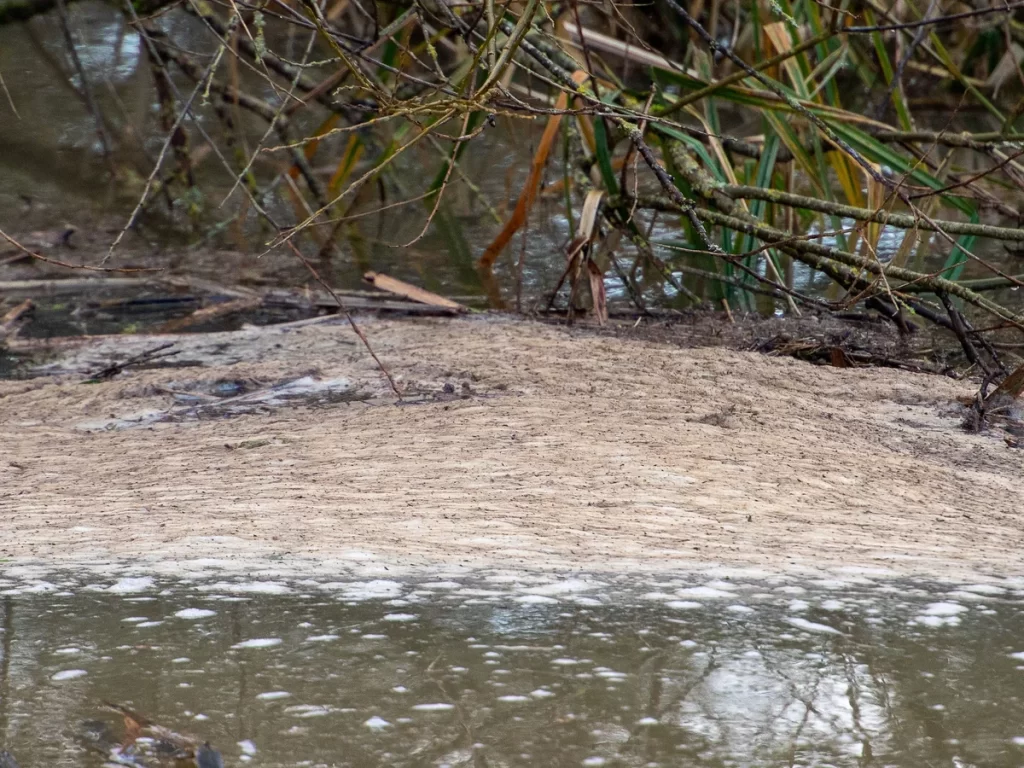 river pollution