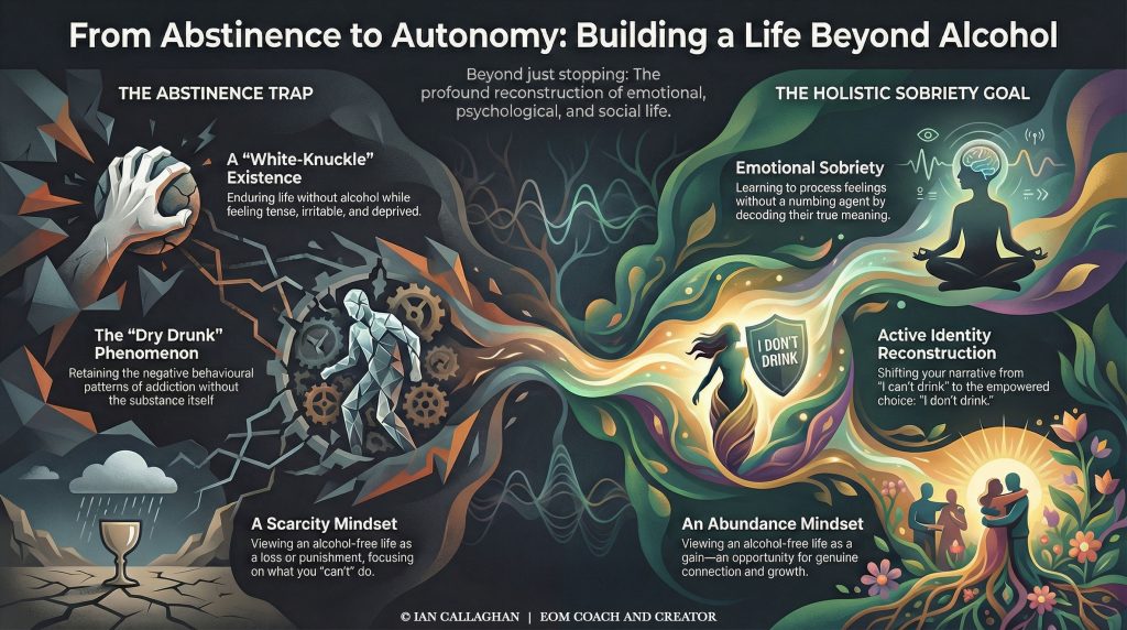 Infograph about Sobriety isn't just not drinking and the mindset.