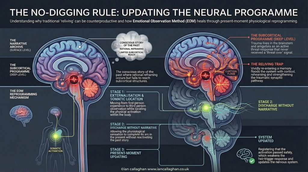 infograph trauma healing without reliving