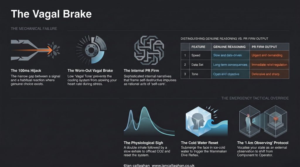 the vagal brake an infograph describing the vagal brake by ian callaghan