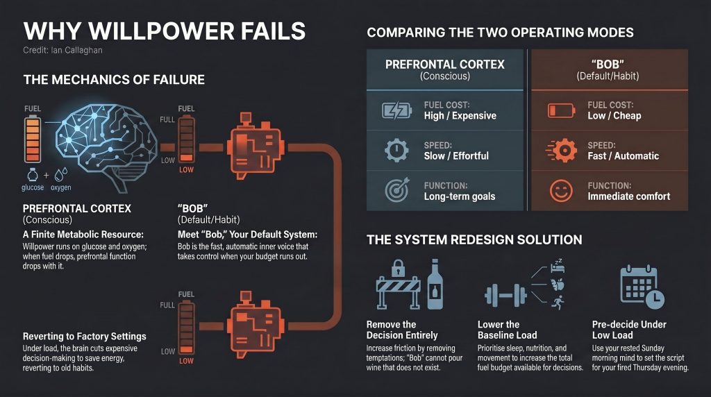 infograph on why willpower fails by ian callaghan