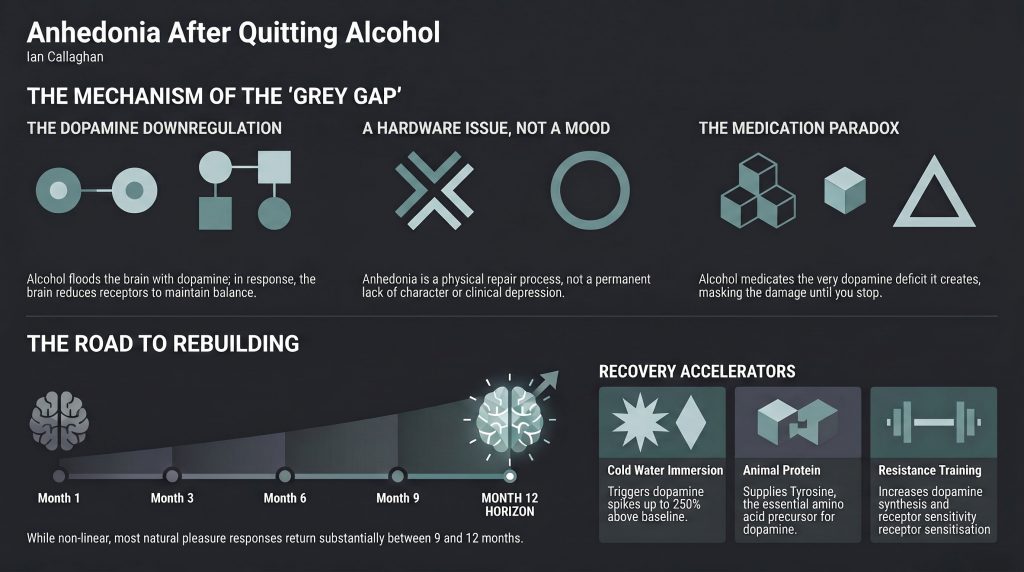 anhedonia after quitting alcohol dopamine recovery timeline Ian Callaghan